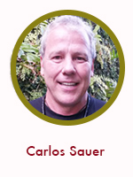 Carlos Sauer