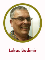 Lukas Budimir