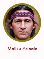 Mallku Aribalo