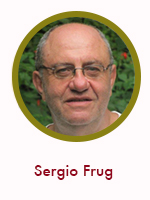 Sergio Frug